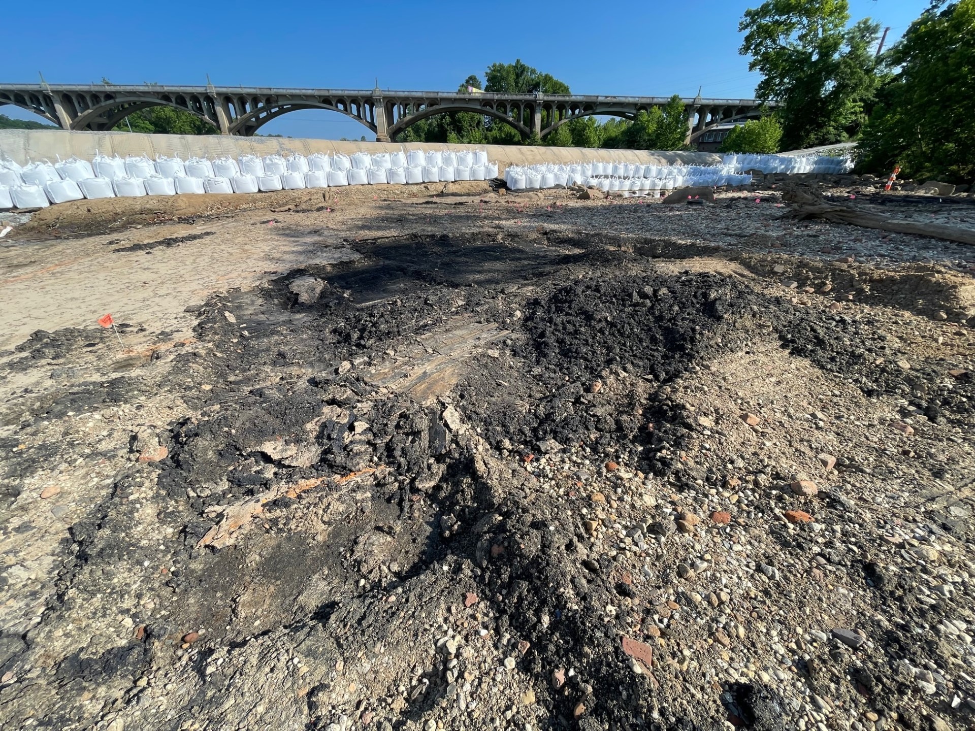 coal tar in Congaree River