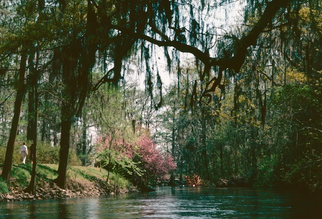 Edisto River