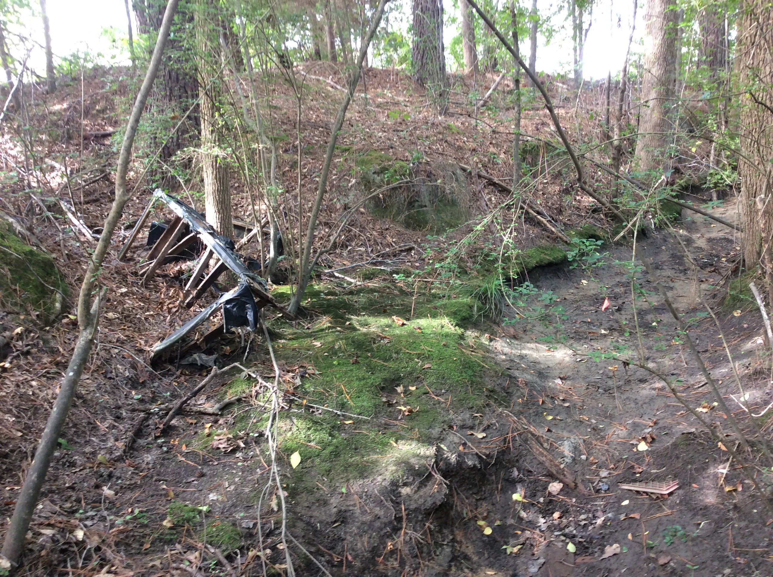 Former Burlington Industries Site - Couch Picture