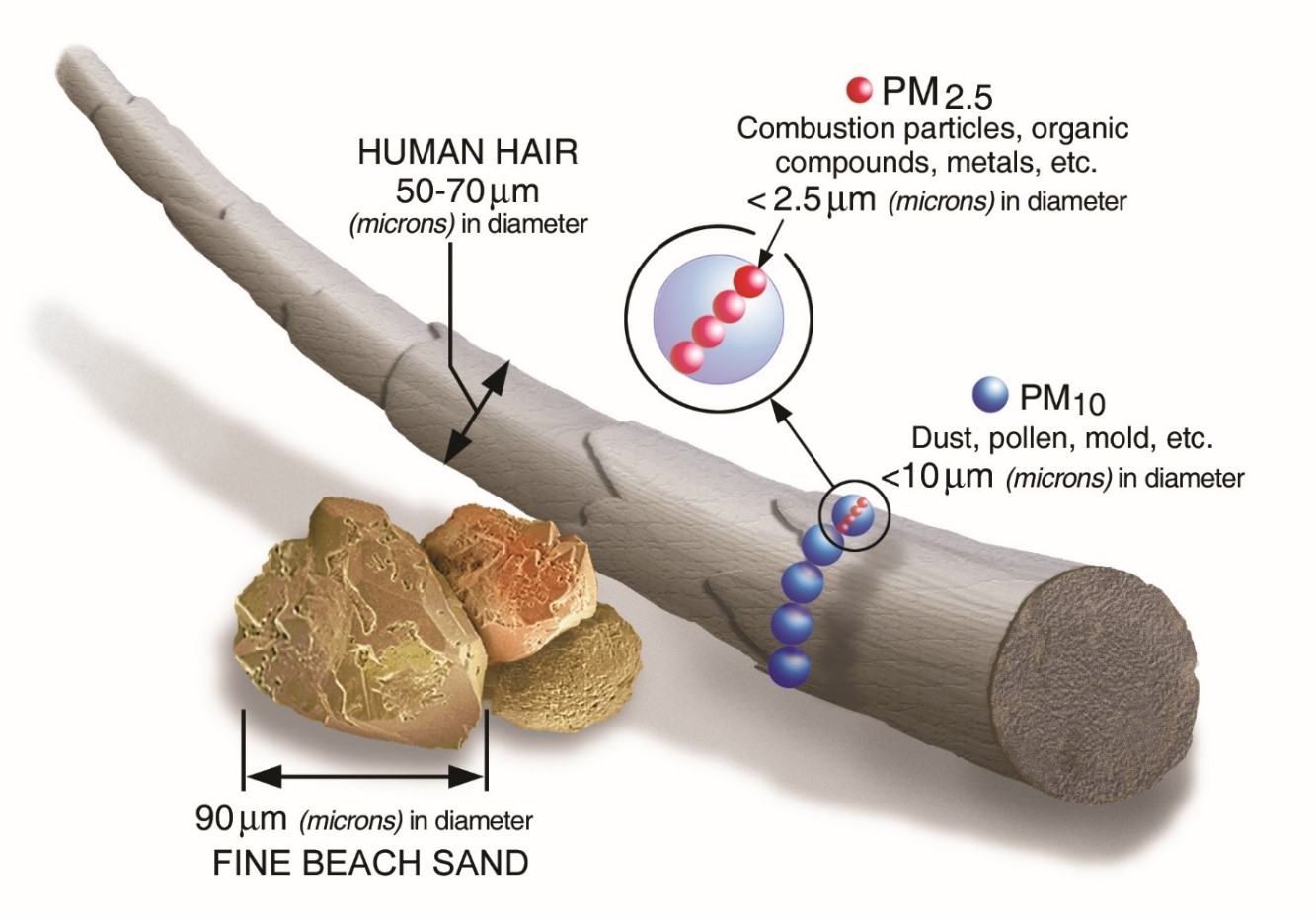 Image describing particulate matter