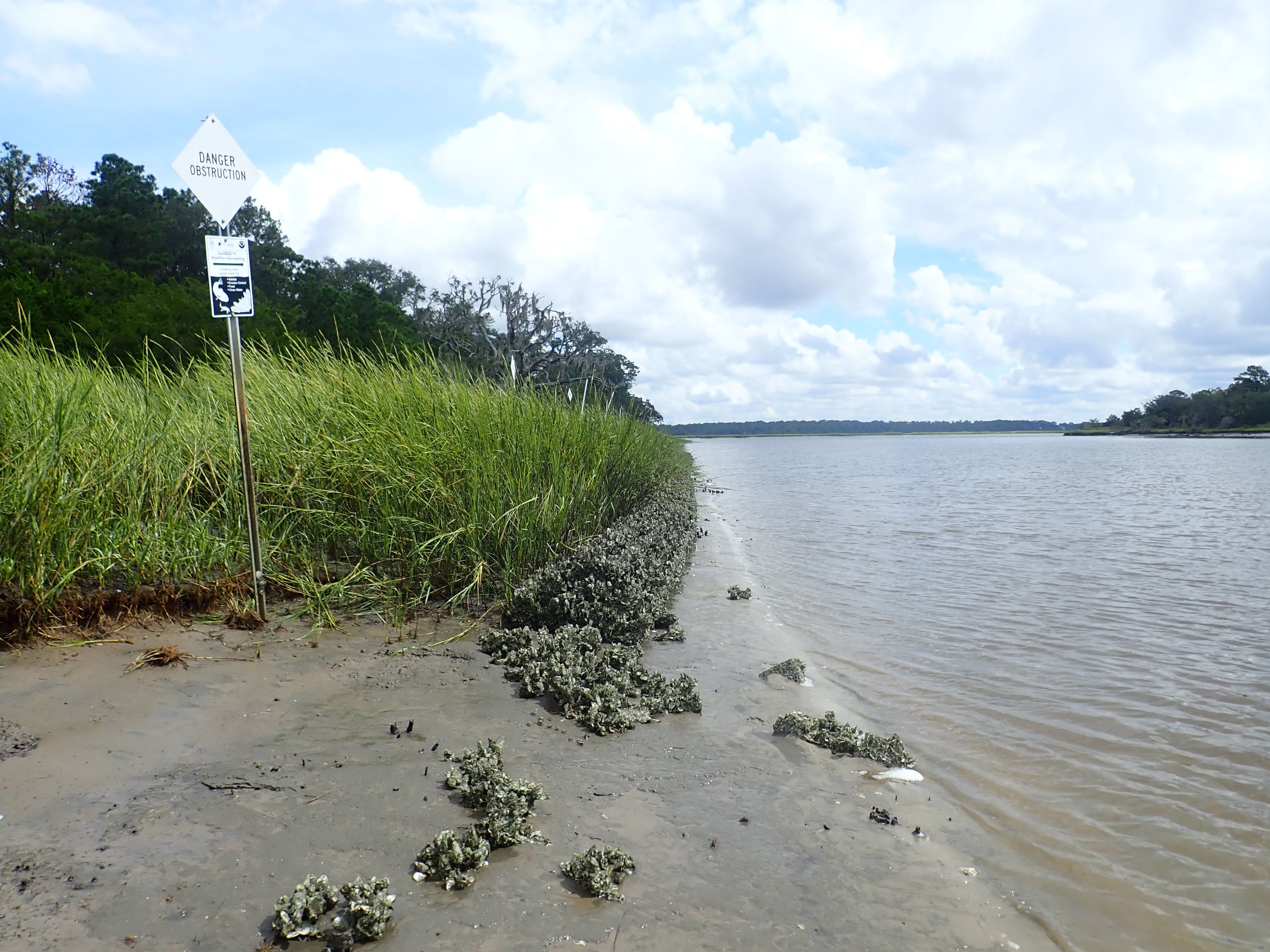 OCRM Wetlands image