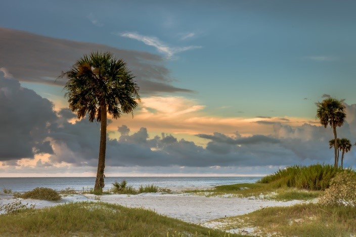 Beach in South Carolina