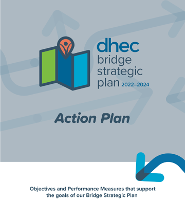 DHEC Strategic Bridge Plan - Full Version