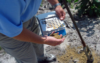 Septic tank site inspector collects a soil sample