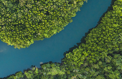 River cutting forest in half areal view