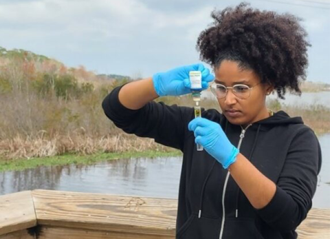 person testing saltwater sample