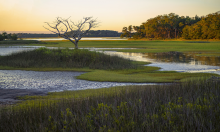 receding tide